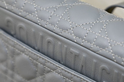 SMALL CARO BAG GRAY SUPPLE CANNAGE CALFSKIN