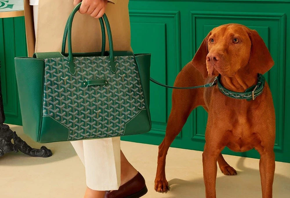 Goyard (Bags)