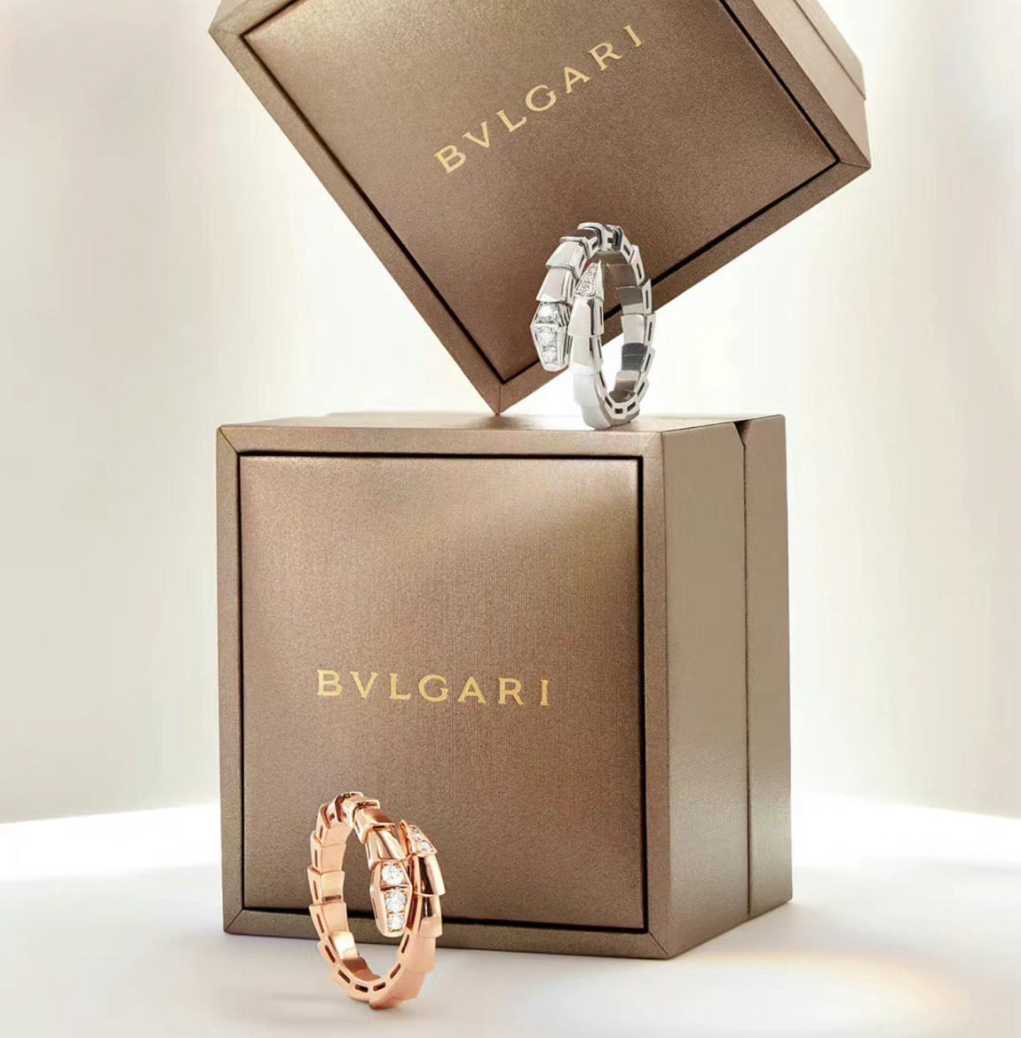 BVL Rings