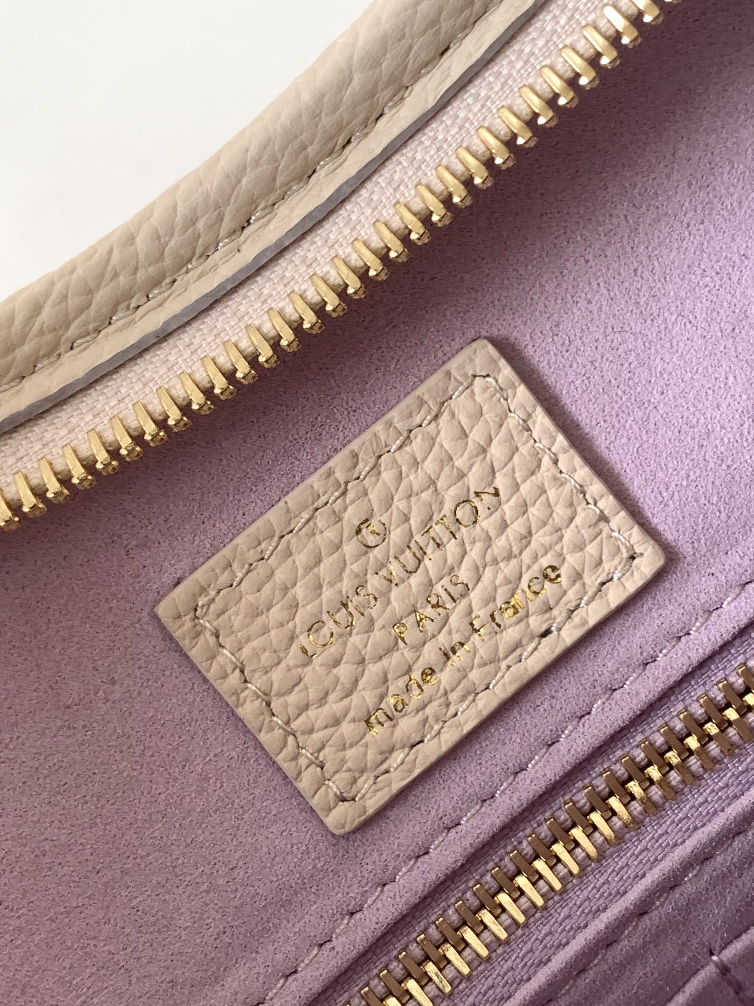 CARRYALL PM 29 BAG IN BEIGE MIX PURPLE MONOGRAM EMPREINTE LEATHER